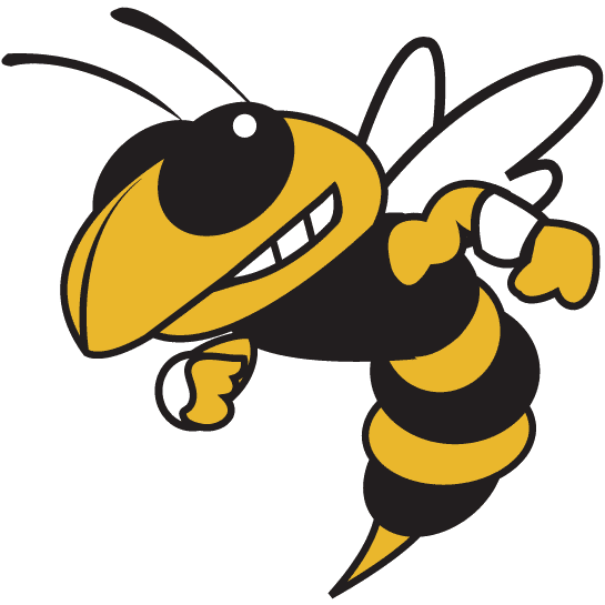 Georgia Tech Yellow Jackets 1991-Pres Alternate Logo v2 diy iron on heat transfer